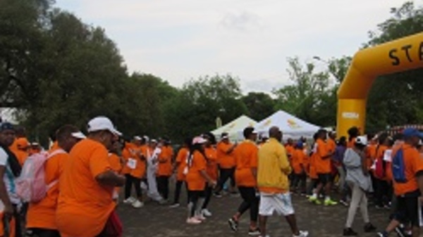 Gauteng Funwalk 2018 Image