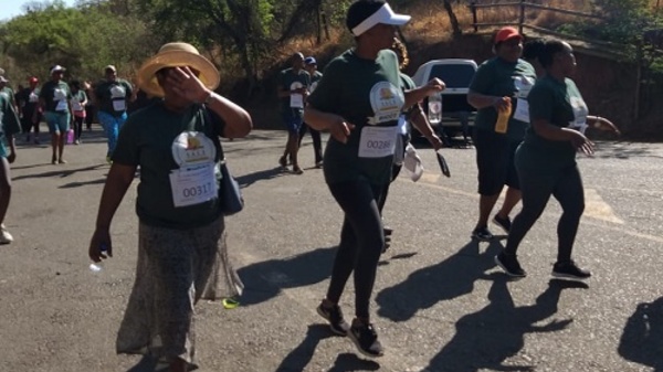 Gauteng Funwalk 2019 Image