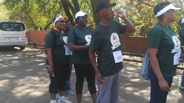 Gauteng Funwalk 2019 Image